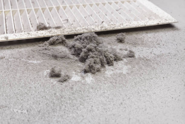 Best Air Duct Cleaning Near Me  in Wadsworth, IL