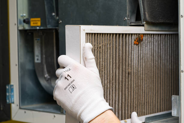 Best Air Duct Cleaning Company Near Me  in Wadsworth, IL