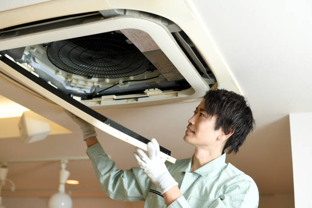 Best Professional Duct Cleaning Services  in Wadsworth, IL